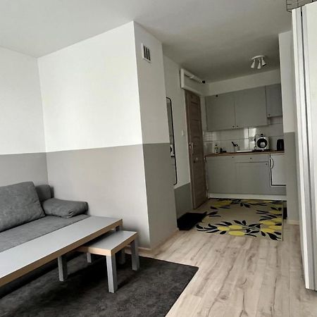 Apartament Mławska 33 Rypin Zewnętrze zdjęcie