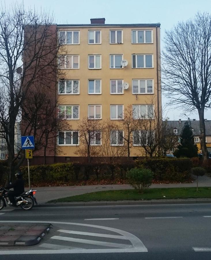 Apartament Mławska 33 Rypin Zewnętrze zdjęcie