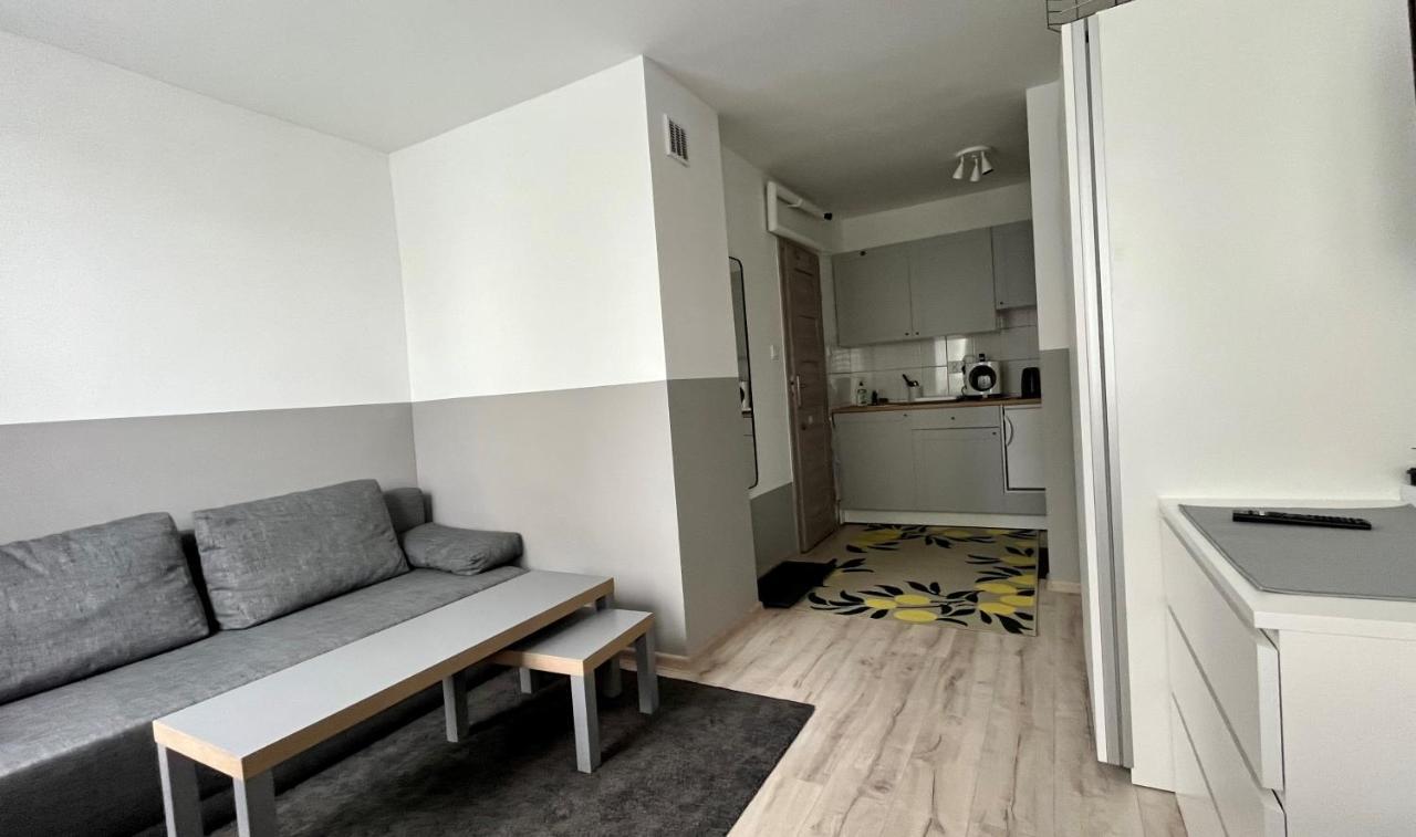 Apartament Mławska 33 Rypin Zewnętrze zdjęcie